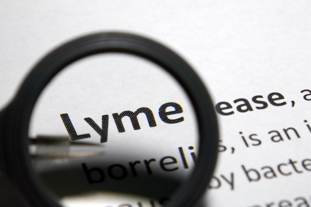 Lyme Disease and Gut Health: The Intricate Connection